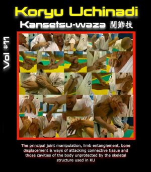 DVD 11 - Kansetsu-waza as developed by Patrick McCarthy, founder of Koryu Uchinadi