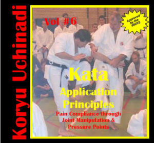 Karate kata application principles