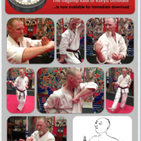 Karate Kata Nanshu Instructional Download
