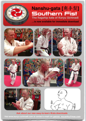 Karate Kata Nanshu Instructional Download