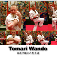 Tomari Wando Karate Kata
