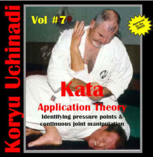 Karate kata application theory